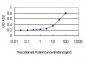 RPL36A Antibody (monoclonal) (M02)